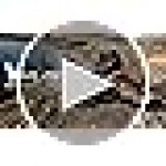 Waterproof Steel Toe Boots for Men Wide Width Slip Resistant Work Shoes Lightweight Non Slip Safety Sneakers Construction Composite Toe Working Footwear